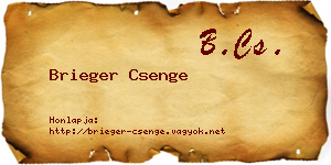 Brieger Csenge névjegykártya
